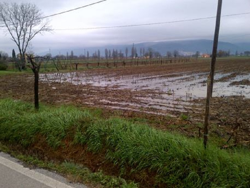 Terreno allagato a Foligno